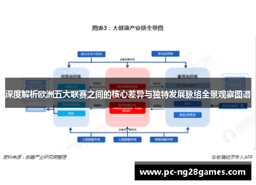 深度解析欧洲五大联赛之间的核心差异与独特发展脉络全景观察图谱