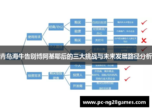 青岛海牛告别博阿基耶后的三大挑战与未来发展路径分析 青岛海牛告别博阿基耶后的三大挑战与未来发展路径分析